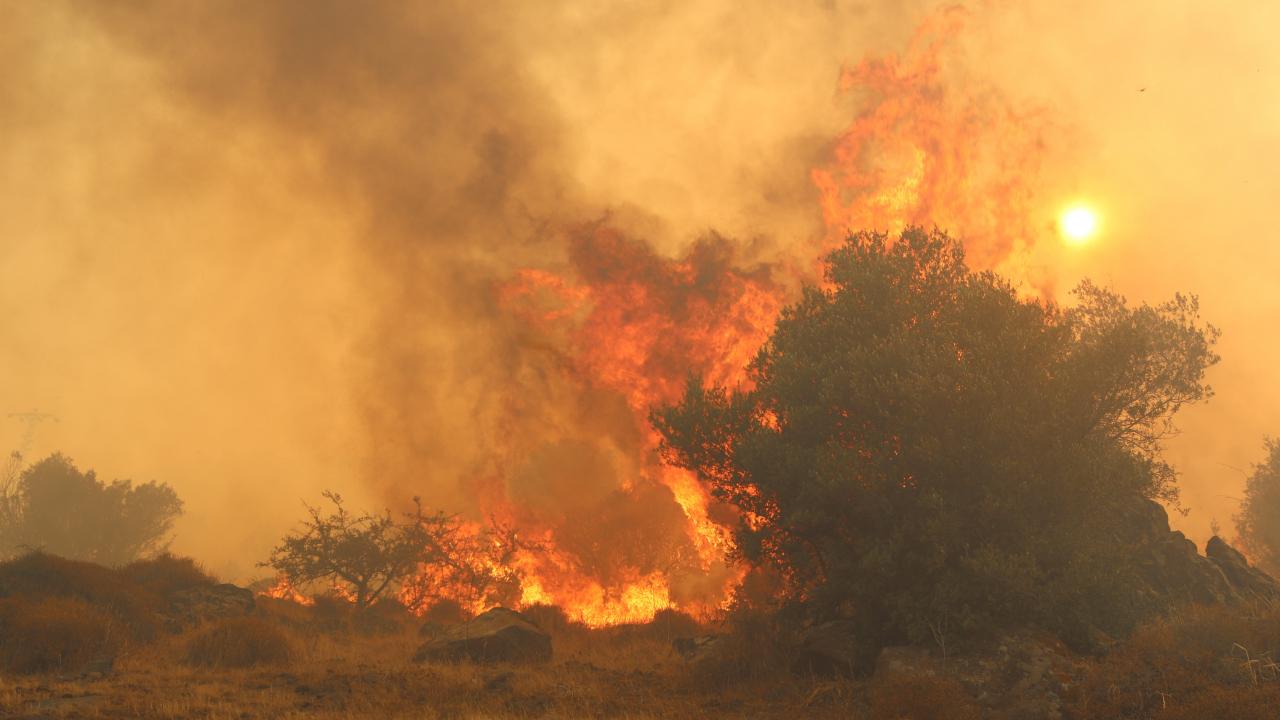 İzmir’de orman yangını: Bir bağ evi kül oldu!